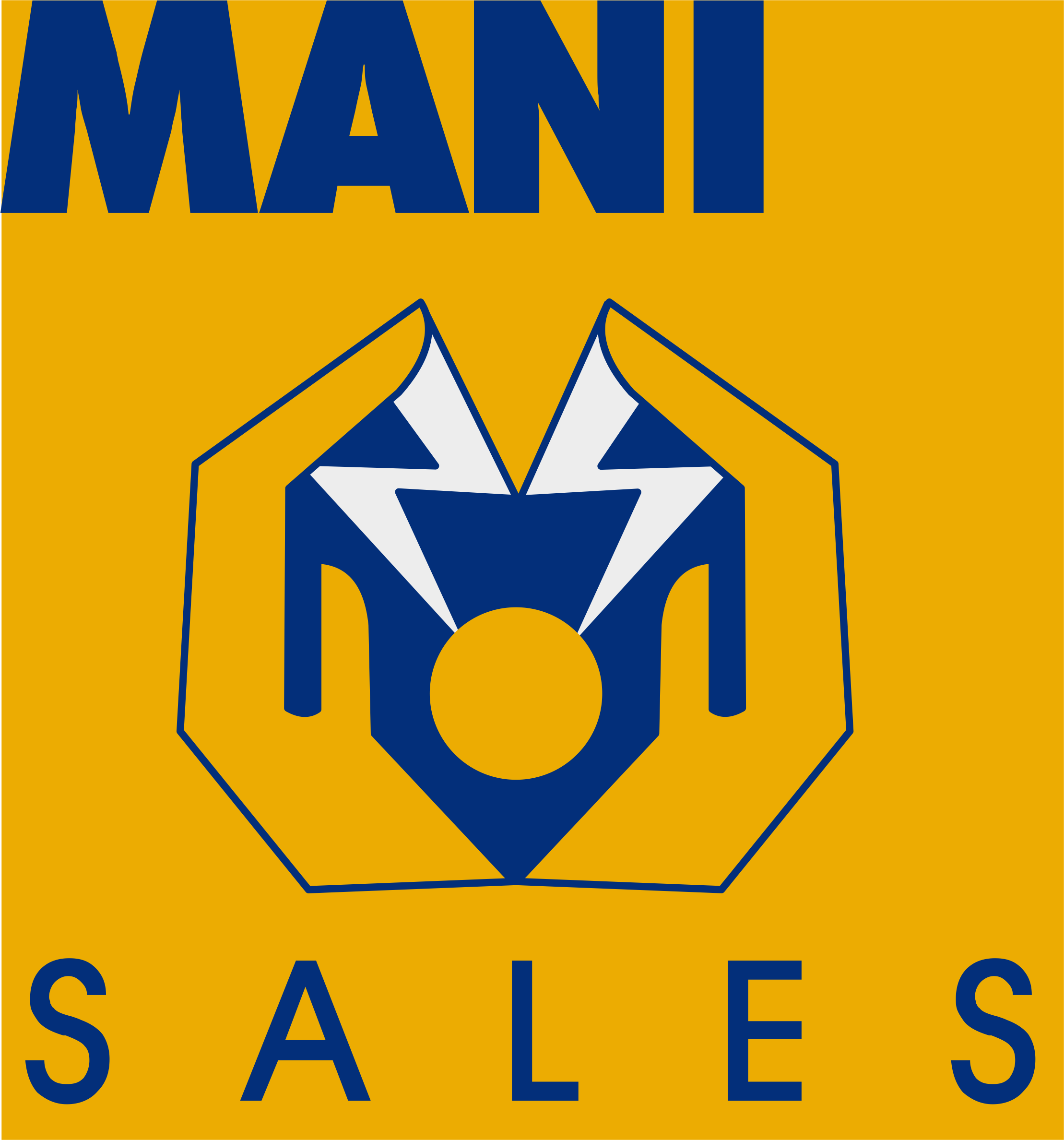 A footer logo of manisales 